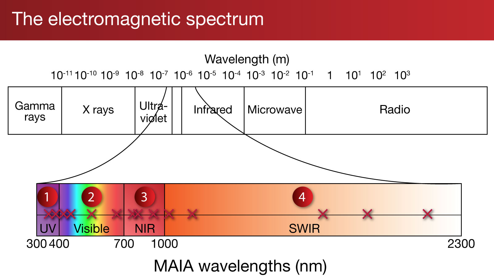 MAIA Filter diagram